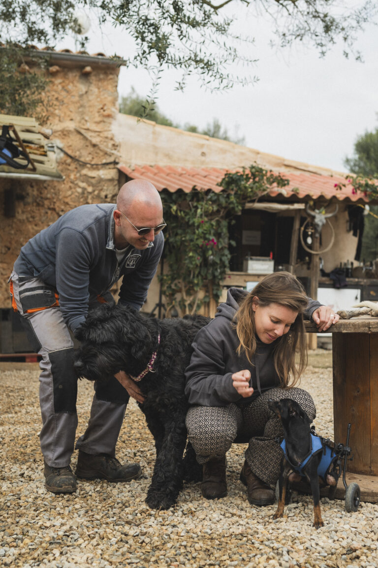 0039 Rancho Fino Mallorca Rescue 2025 © Grimalt de Blanch