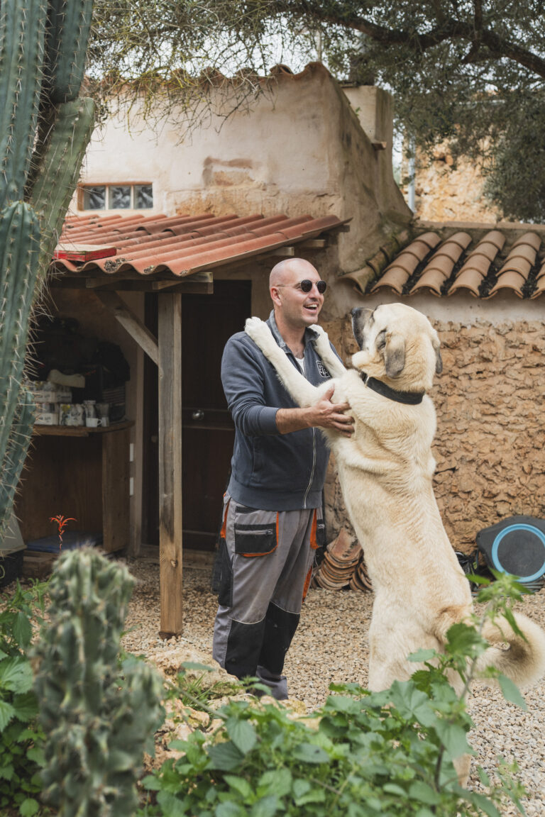 0063 Rancho Fino Mallorca Rescue 2025 © Grimalt de Blanch