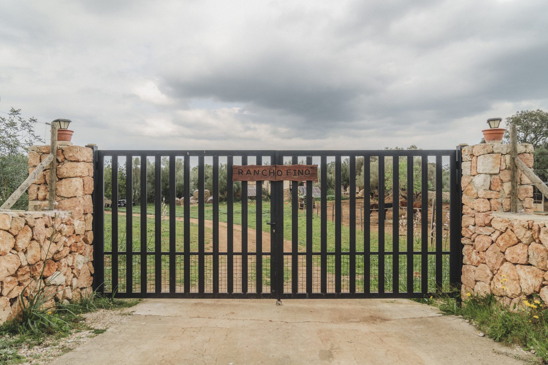 Portrait of Presence – ein Pro-bono-Kunstprojekt