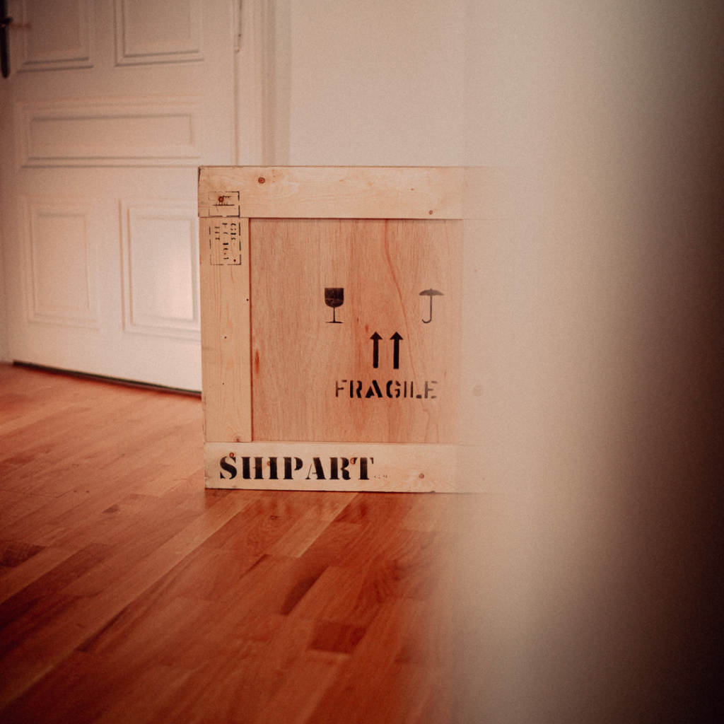 Importing and exporting contemporary art_art consultancy_Velvenoir